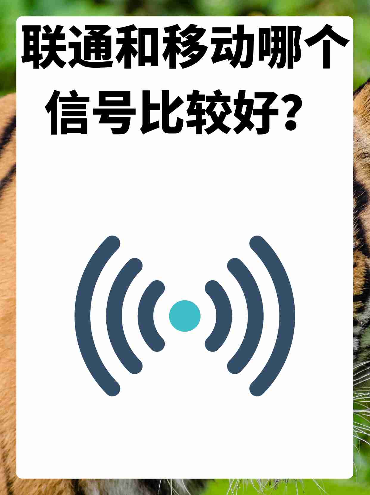 中国联通和移动的区别 联通和中国移动有什么区别 