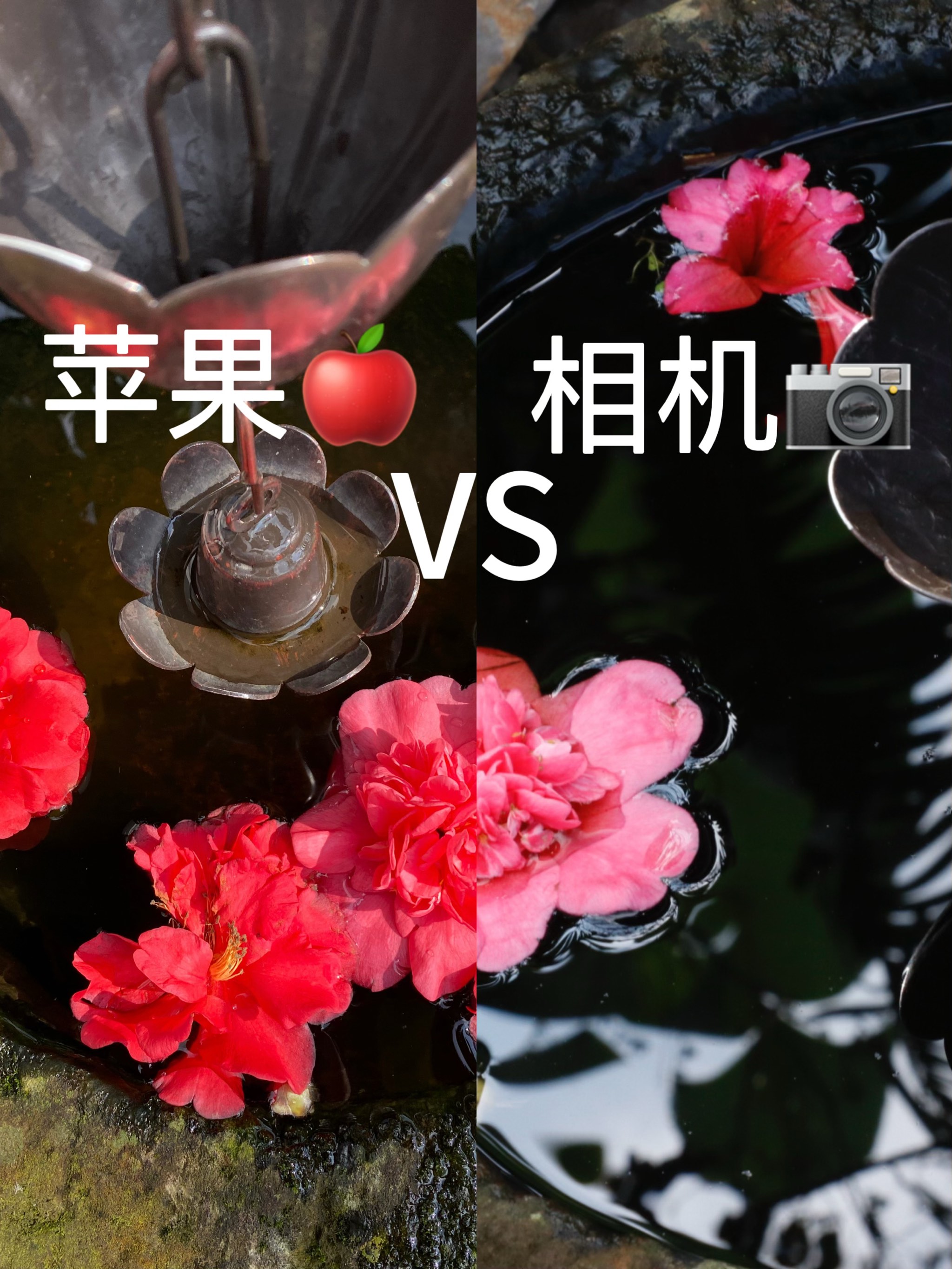 拍照前置和后置区别 前置照相机和后置照相机哪个更真实 