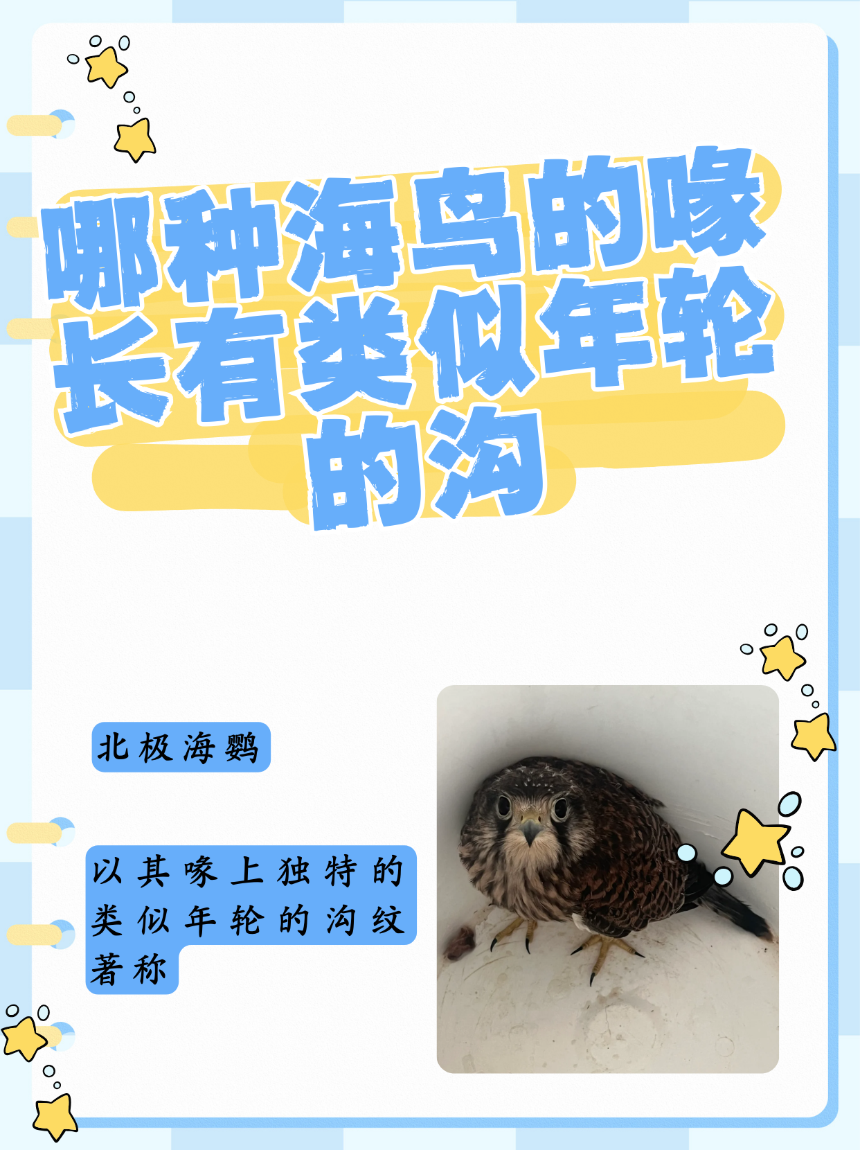 认识和知道的区别 认识知道和熟悉的区别 