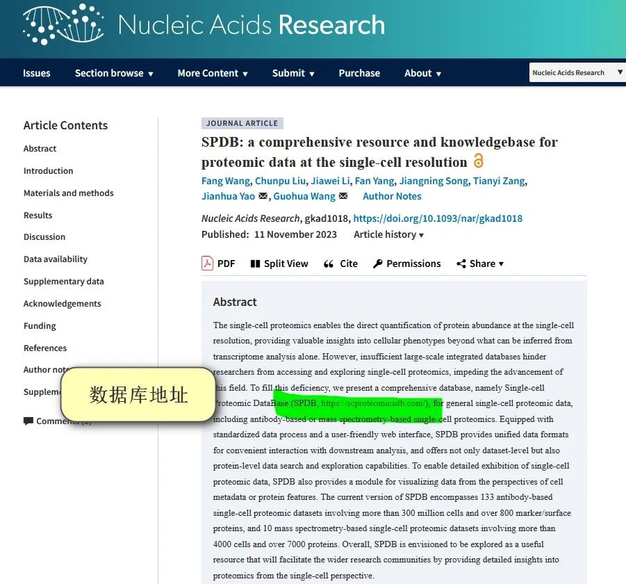 spdp的区别 dp和sp的关系 