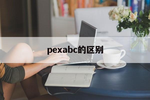 pexabc的区别 pexc和pexb哪个好 
