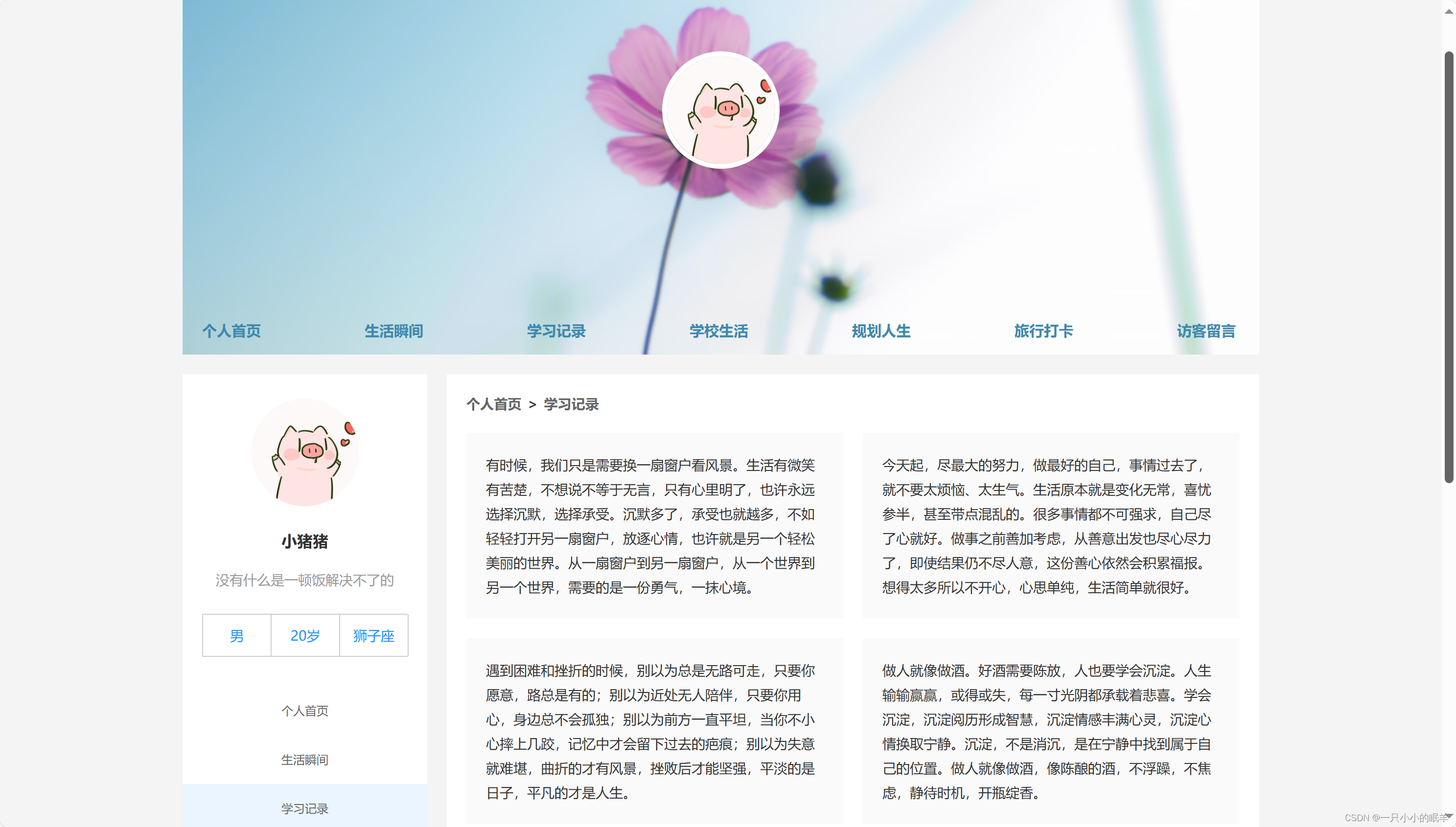 网页的分类与区别 网页分为哪几种类型 