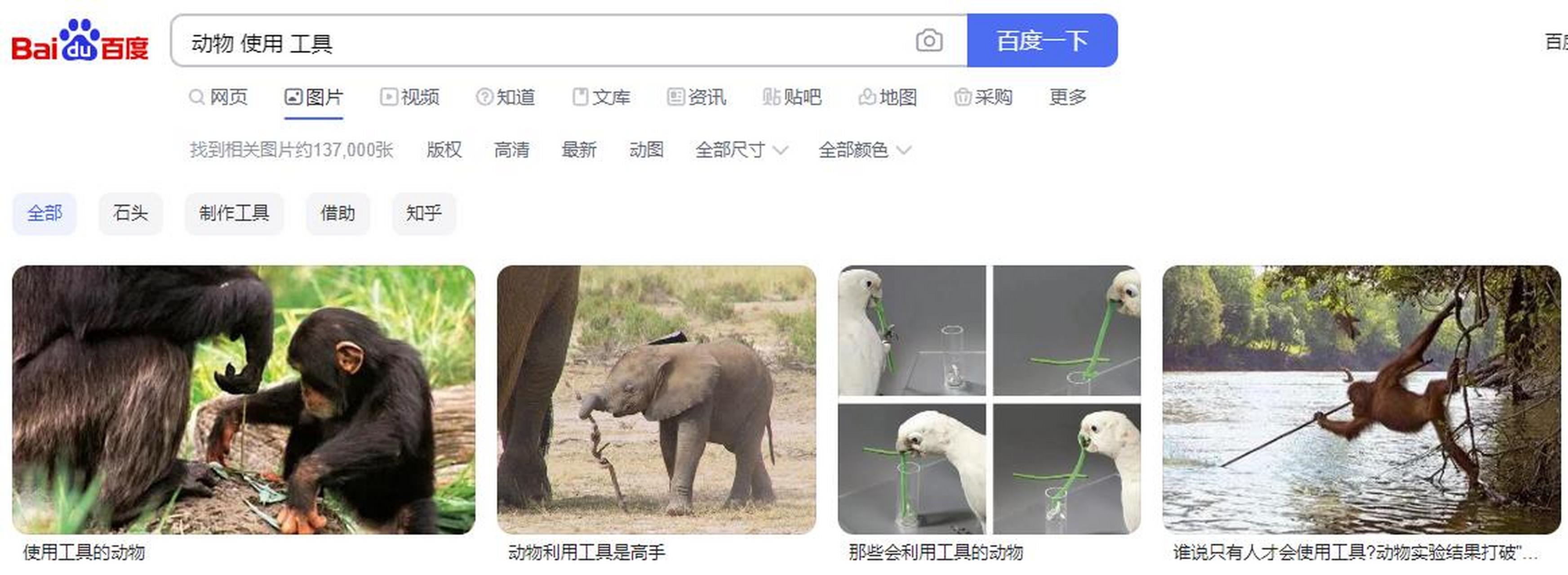 与使用区别 使用与食用的区别 