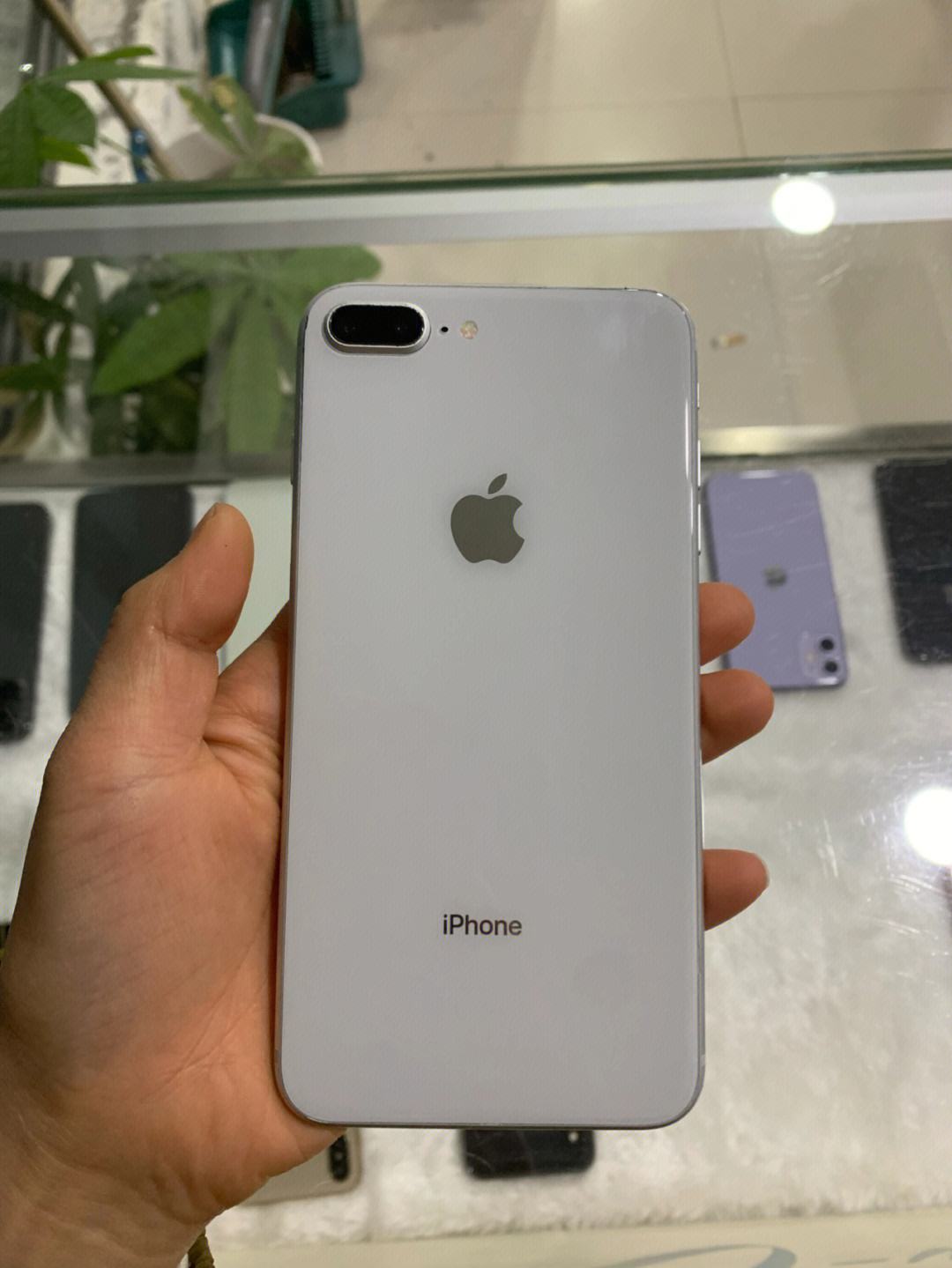 iphone8与8plus的区别 iphone8和8plus哪个性价比高 